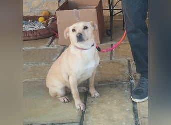 Baba, geb. 05.2023, 38cm sucht Menschen mit Herz