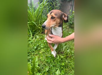 Inez, geboren 02.04.2024, 30cm sucht ihr Zuhause