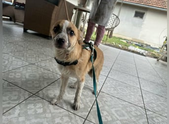 Mandy, geboren 05.11.2025, 35cm sucht ihr Glück