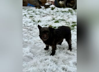 Neomi, geboren 01.06.2021, 32cm sucht ihr Glück