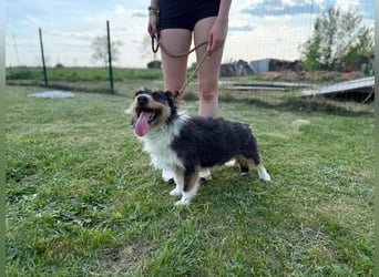 Cuki wartet auf tolle Abenteuer