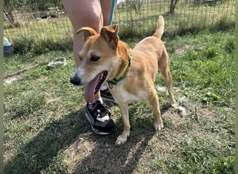 Wendy, geboren 07.2018, 42cm sucht ihr Für-Immer-Zuhause