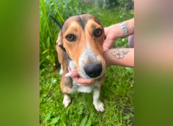 Inez, geboren 02.04.2024, 30cm sucht ihr Zuhause