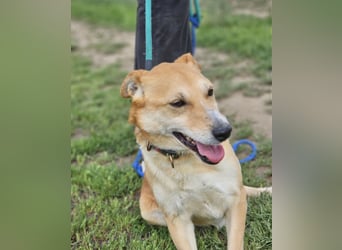 Wendy, geb. 07.2018, 42cm sucht ihr Für-Immer-Zuhause