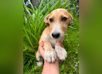 Tammy, geboren 08.02.2026, 27cm sucht ihre Menschen