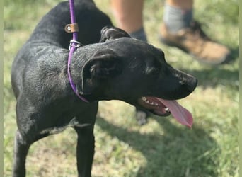 Hetty, geboren 25.01.2025, 42cm sucht ihre Familie