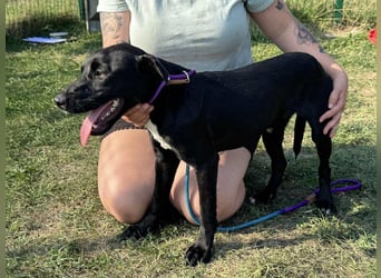 Anton, geboren 25.12.2024, 42cm sucht seine Menschen