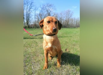 Bubu, geb. 05.2025, 35cm, sucht seine Familie