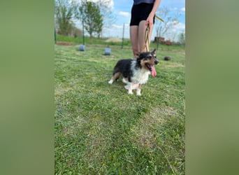 Cuki wartet auf tolle Abenteuer