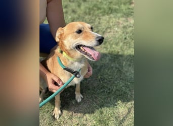 Wendy, geboren 07.2018, 42cm sucht ihr Für-Immer-Zuhause