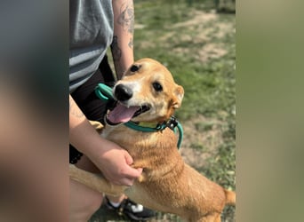 Wendy, geboren 07.2018, 42cm sucht ihr Für-Immer-Zuhause