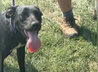 Hetty, geboren 25.01.2025, 42cm sucht ihre Familie