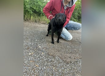 Ajna, geb. 06.2024, 39cm sucht ihre Menschen