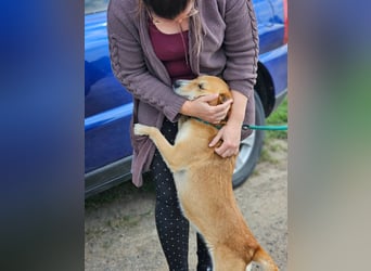 Wendy, geb. 07.2018, 42cm sucht ihr Für-Immer-Zuhause