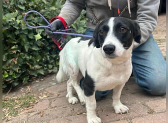 Alma, geboren 26.08.2023, 29cm sucht ihr Glück