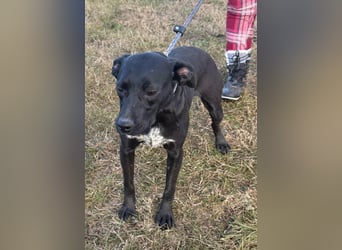 Hetty, geboren 25.01.2025, 42cm sucht ihre Familie