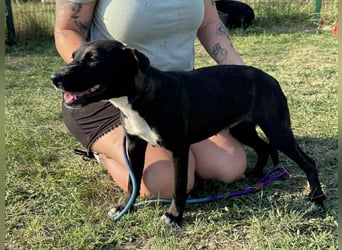 Nikita, geboren 25.12.2024, 40cm sucht ihre Chance