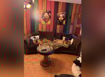 Süße Bailey sucht ein Zuhause