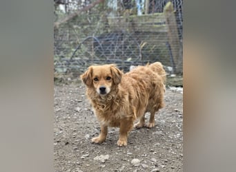 Ariel, mutiges Mädchen mit großem Herz