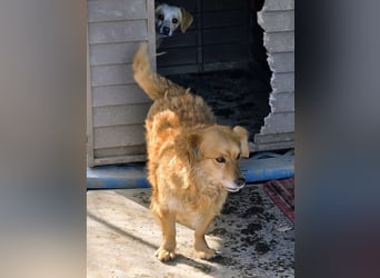 Ariel, mutiges Mädchen mit großem Herz