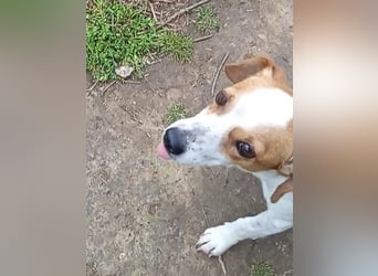 Diana sucht ihre Herzmenschen