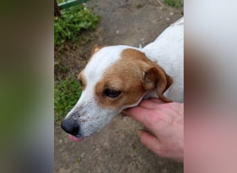 Diana sucht ihre Herzmenschen