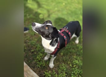 Tiva – fröhlich, klug und voller Lebenslust :)