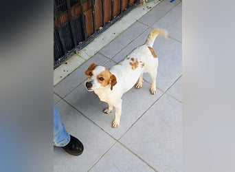 Diana sucht ihre Herzmenschen