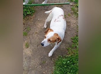 Diana sucht ihre Herzmenschen