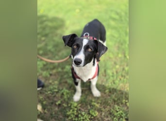 Tiva – fröhlich, klug und voller Lebenslust :)