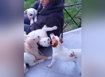 Diana sucht ihre Herzmenschen