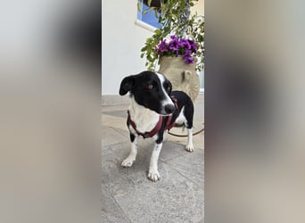 Tiva – fröhlich, klug und voller Lebenslust :)