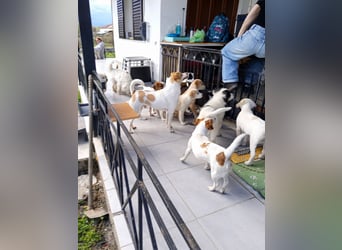 Diana sucht ihre Herzmenschen