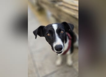 Tiva – fröhlich, klug und voller Lebenslust :)