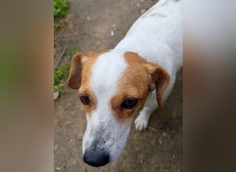 Diana sucht ihre Herzmenschen