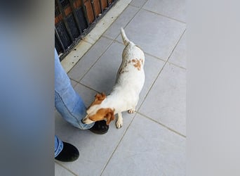 Diana sucht ihre Herzmenschen