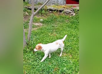 Diana sucht ihre Herzmenschen