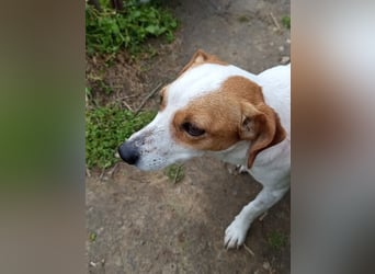 Diana sucht ihre Herzmenschen