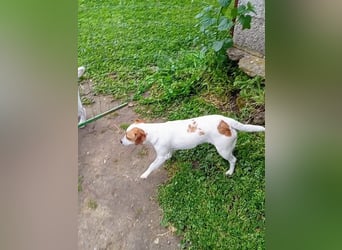 Diana sucht ihre Herzmenschen