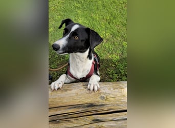 Tiva – fröhlich, klug und voller Lebenslust :)