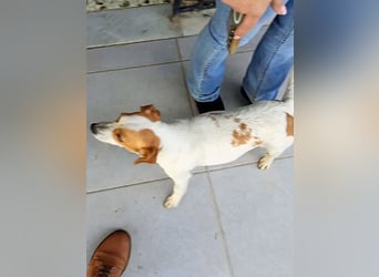 Diana sucht ihre Herzmenschen