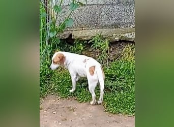 Diana sucht ihre Herzmenschen