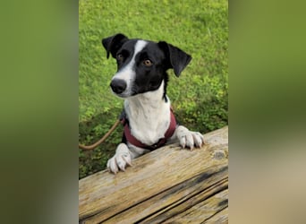 Tiva – fröhlich, klug und voller Lebenslust :)