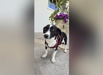 Tiva – fröhlich, klug und voller Lebenslust :)