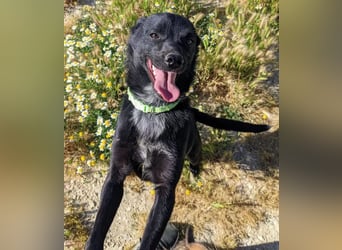 Tuno ,der kleine Schwarze mit dem gewissen Etwas sucht sein Glück