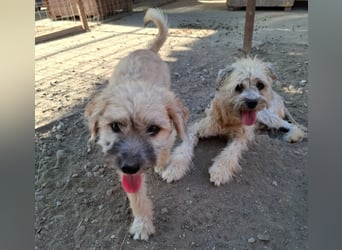 Kymana - einfach lieb!