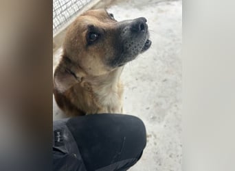 Storm - klein und sanft