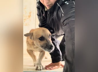 Storm - klein und sanft