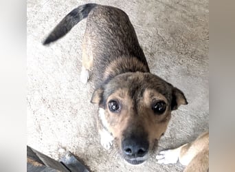 Kaylie - kleine, fürsorgliche Mama sucht ruhiges Zuhause