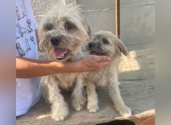 Kymana - einfach lieb!